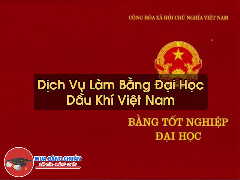 Làm Bằng Đại Học Dầu Khí Việt Nam