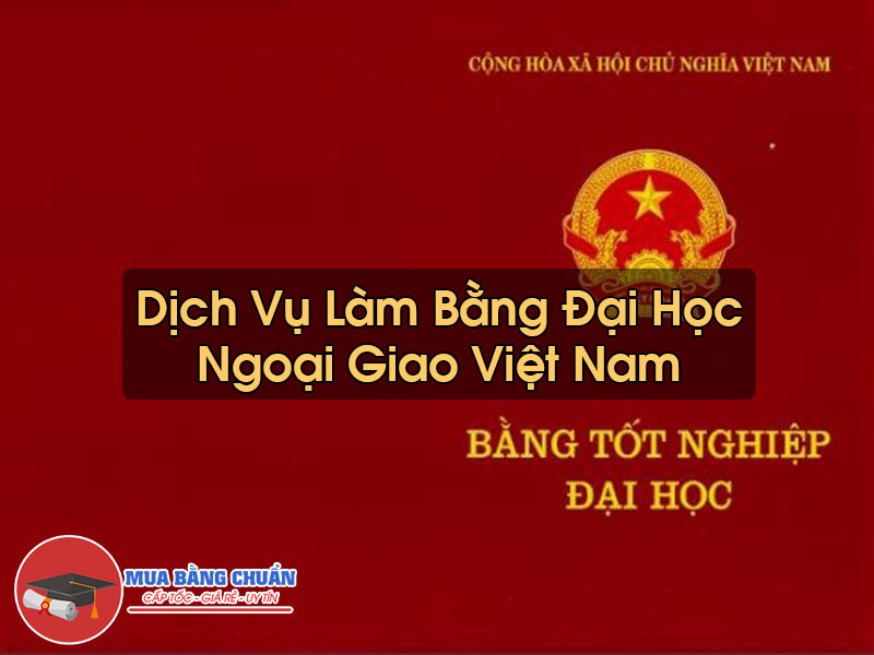 Làm Bằng Đại Học Ngoại Giao Việt Nam
