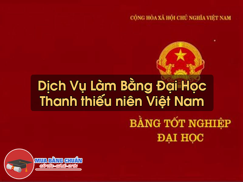 Làm Bằng Đại Học Thanh thiếu niên Việt Nam